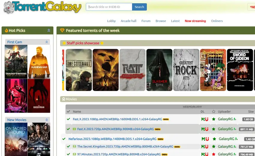 torrentgalaxy