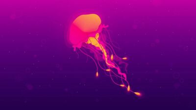 jammy jellyfish wall