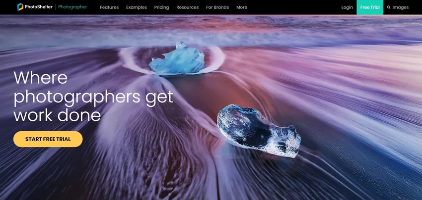 photoshelter