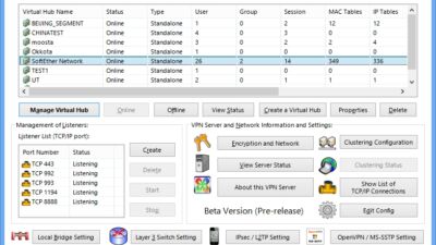 10 vpnserver