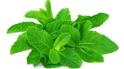 mint