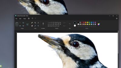 paint background removal tool
