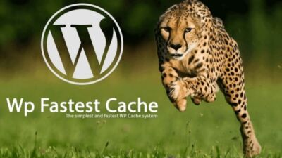 wpfastestcache
