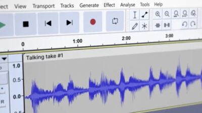 audacity openvino