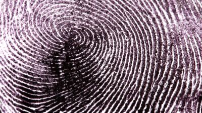 fingerprint
