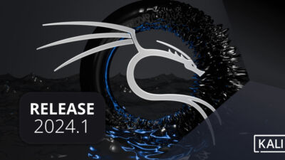 banner 20241 release