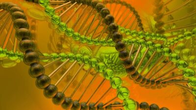 dna
