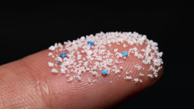 micro plastic