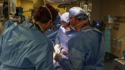 surgeon surgury hospital