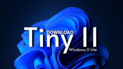 tiny 11 cover