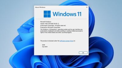 windows 11 government edition