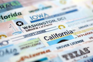 drivers licenses